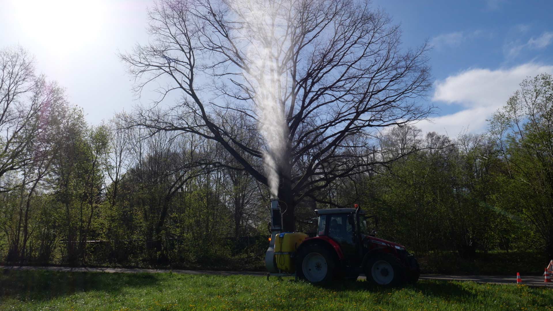 eichenprozesseionsspinner-baum Ein Baum wird von Fleschhut gegen Eichenprozessionsspinner behandelt