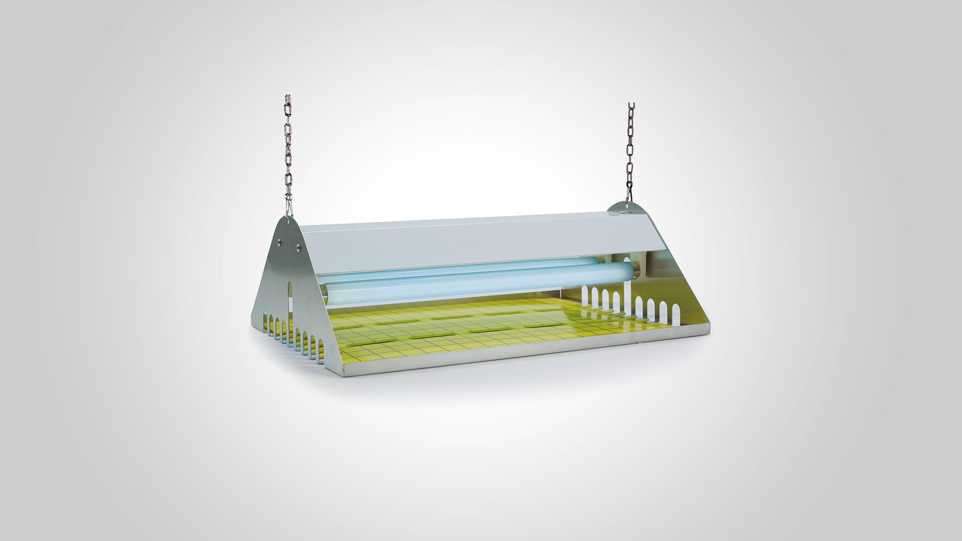 flytrap-30 Flytrap Commercial