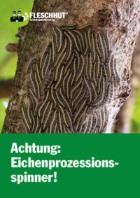 Eichenprozessionsspinnerbroschüre von Fleschhut Schädlingsbekämpfung zum Download