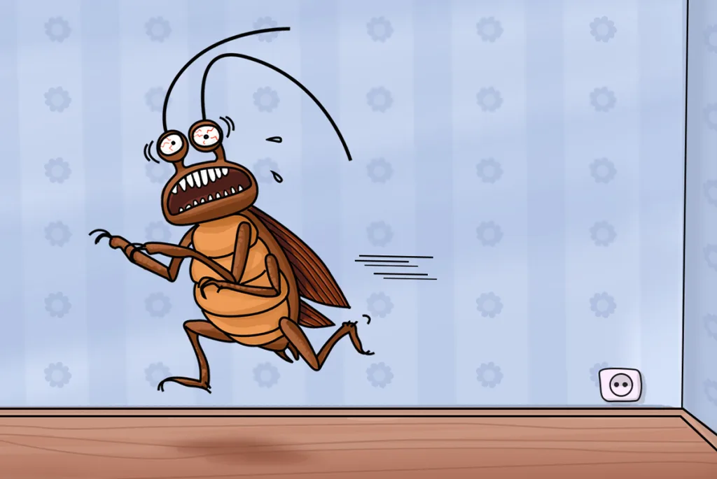 So wird die Schabe nicht zur Plage